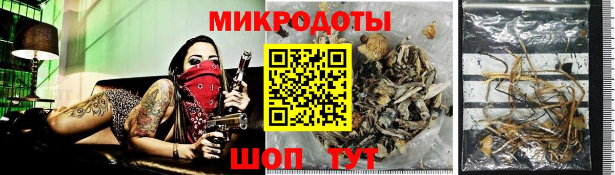 Галлюциногенные грибы ЛСД Бор