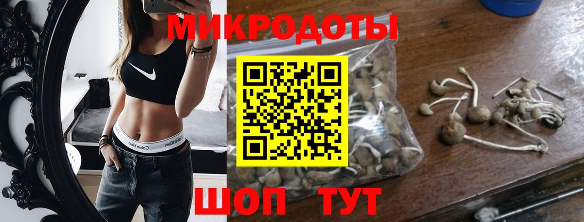 Бор  Галлюциногенные грибы Psilocybe  купить закладку  Вход с VPN 